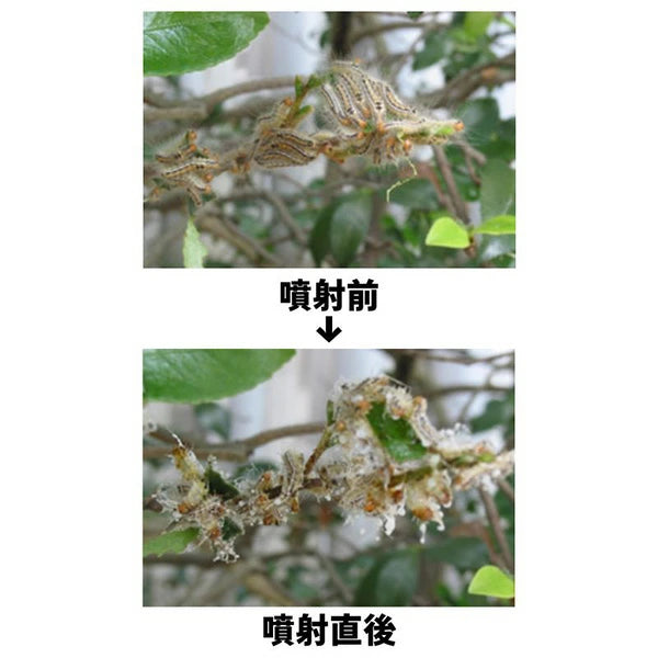 チャドクガ毒針毛固着剤 180ml
