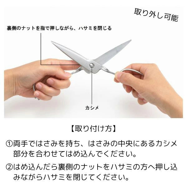 鳥部製作所 キッチンスパッター KS-203 | オールステンレス 日本製 取り外し式キッチンバサミ