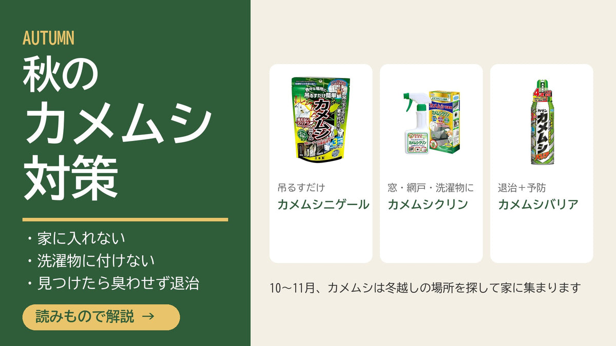 秋のカメムシ対策