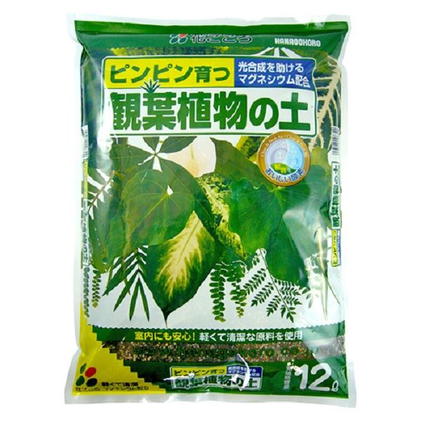 観葉植物の土 12L マグネシウム配合 元肥入り 軽量 清潔 室内用 そのまま使える