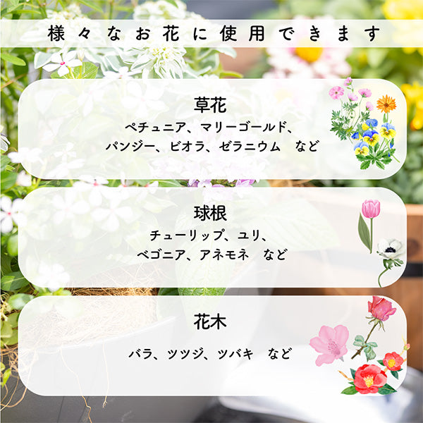 日東エフシー ガーデンフラワーセット 540g 肥料 有機化成 ウレアホルム配合 緩効性窒素