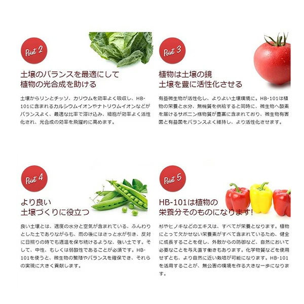 フローラ HB-101 天然植物活力液 原液 100cc | 野菜・花・果実の栽培に最適な有機栽培用活力剤