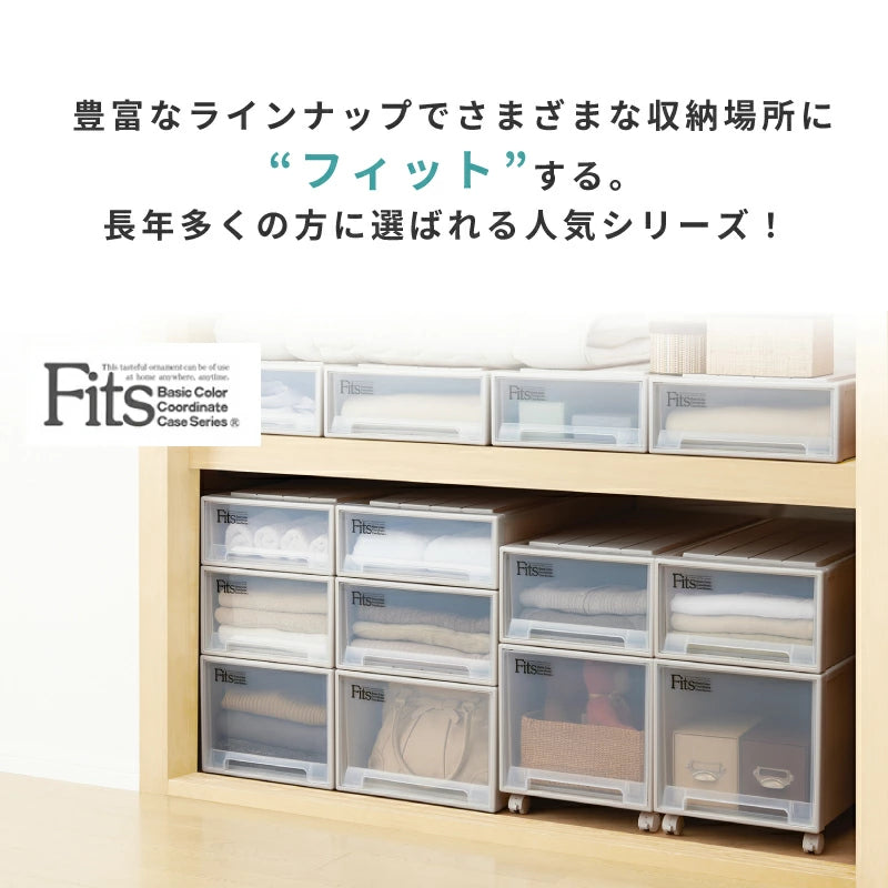 フィッツケース Fits クローゼット 2個セット