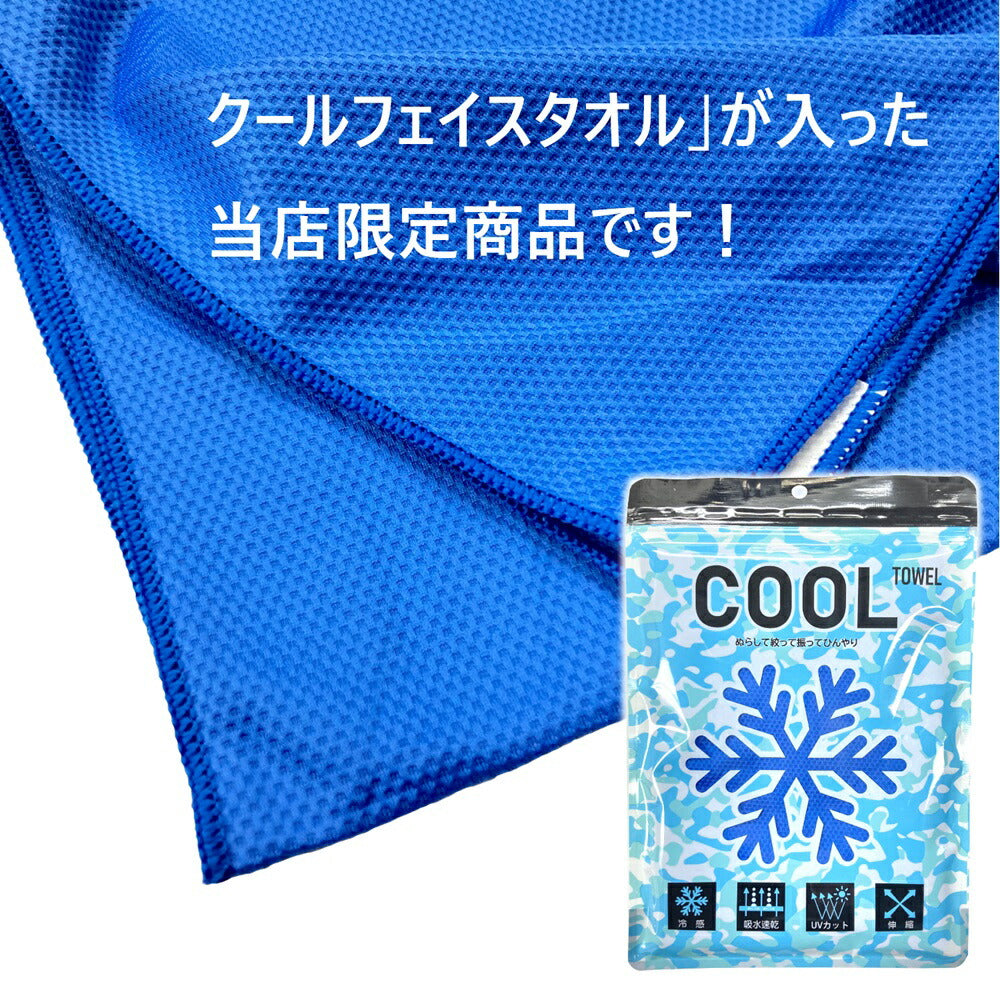 Y'sGOD アイスマン ベスト PRO X-II 水冷ベスト -30℃ バッテリー付き