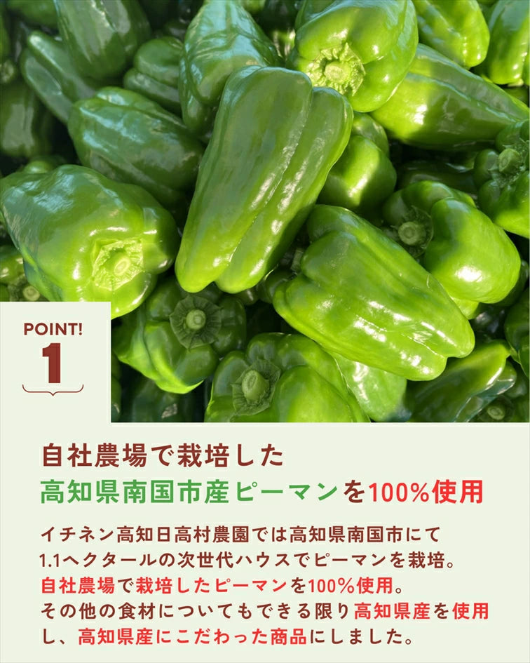 肉味噌ピーちゃん｜高知県産ピーマン100％使用 ご飯のお供 お取り寄せグルメ 産学連携【送料無料】