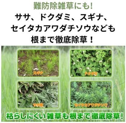 草退治メガロングシャワーGT 2.5L/4.8L 住友化学園芸 除草剤 速効性 持続約330日 グリホサート配合 ササ スギナ ドクダミ