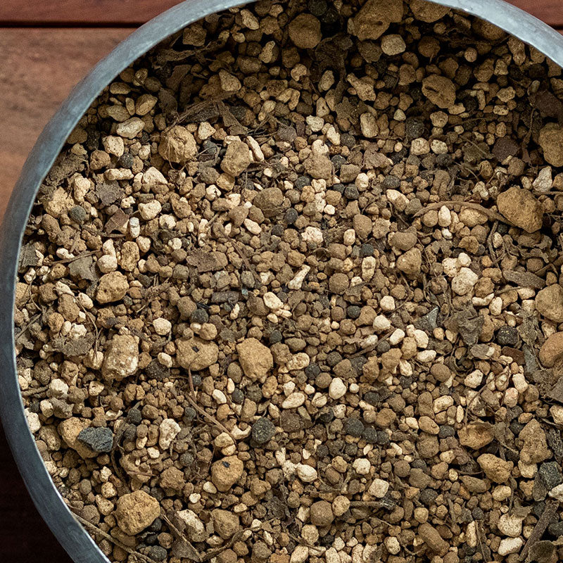 バイオゴールドの土 180ml 500cc 2L 国産 天然材料 腐葉土 植物用土 繰り返し使える