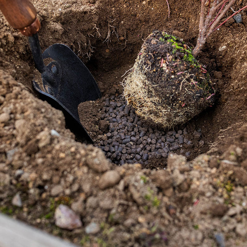 タクト バイオゴールドクラシック元肥 200g/1.3kg/3.2kg/5kg | 100%天然有機肥料 有機JAS適合